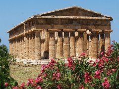 Paestum_002