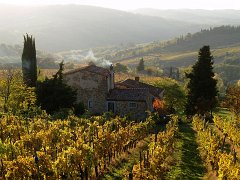 Chianti_009