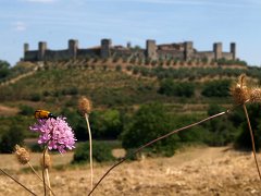 Monteriggioni_010