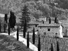 Tuscany_BW_007