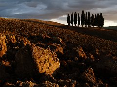 Orcia_001