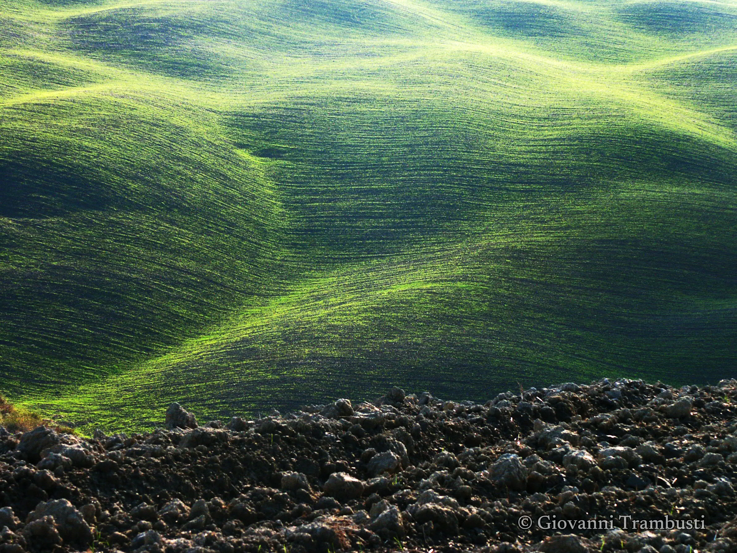 Orcia 055, Tuscany — fotografia di Giovanni Trambusti