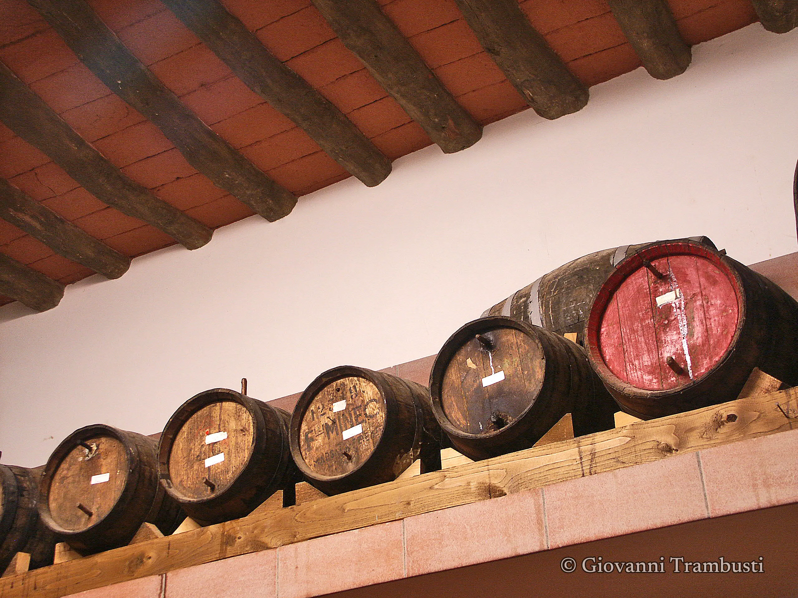 Wine 016, Tuscany — fotografia di Giovanni Trambusti