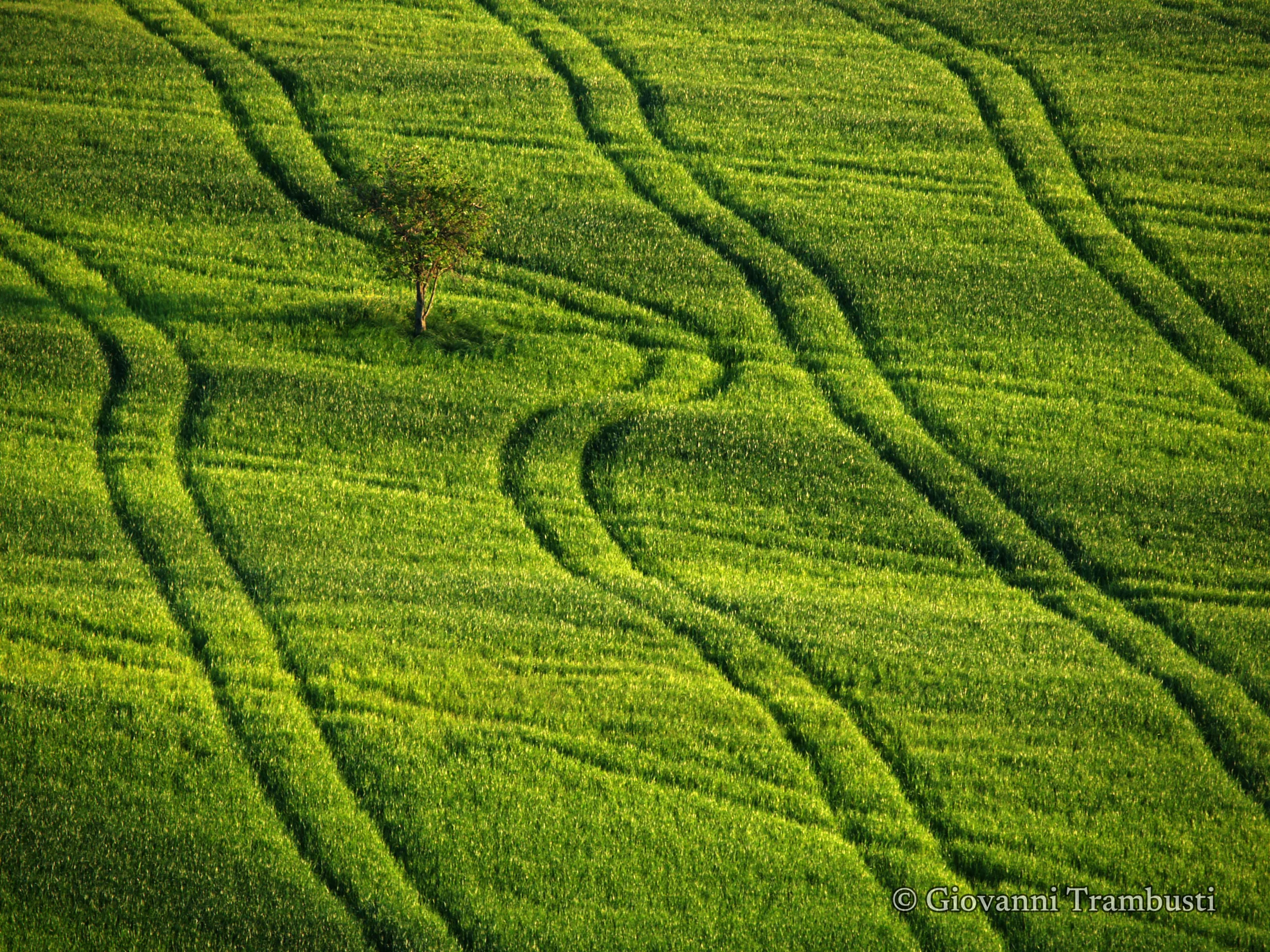 Orcia 082, Tuscany — fotografia di Giovanni Trambusti