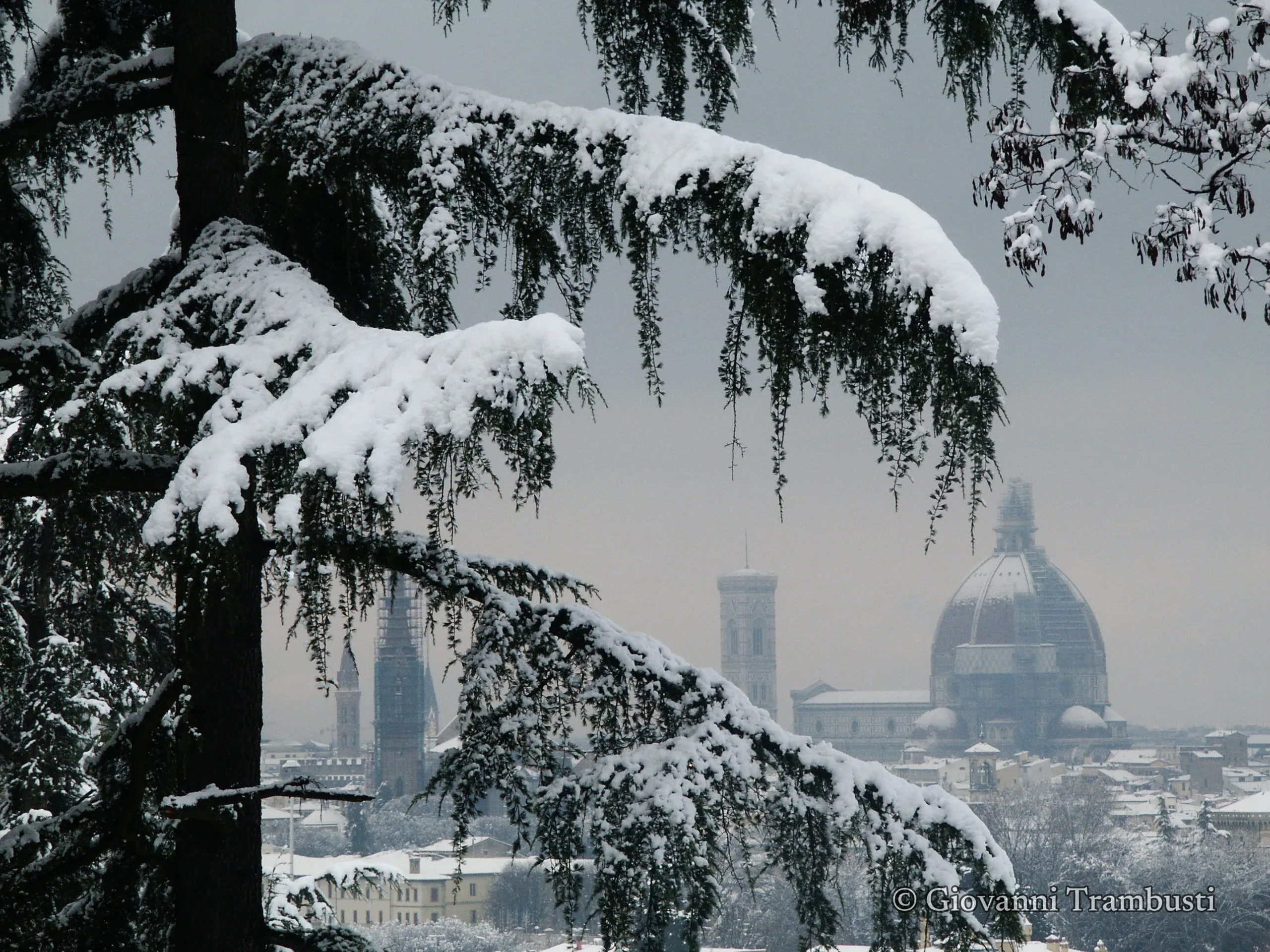 Snow 021, Florence — Fotografie von Giovanni Trambusti