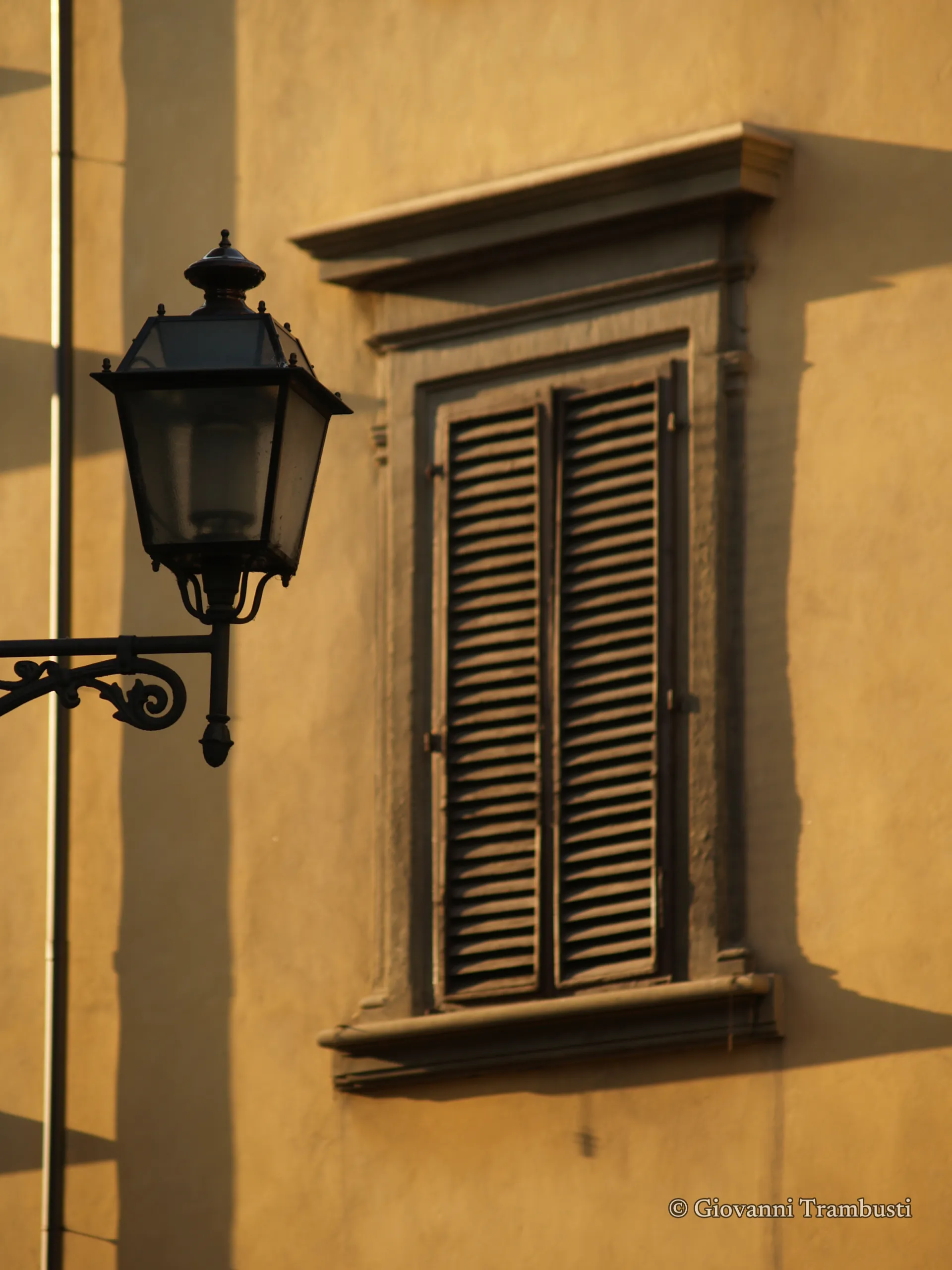 Windows 031, Florence — fotografia di Giovanni Trambusti