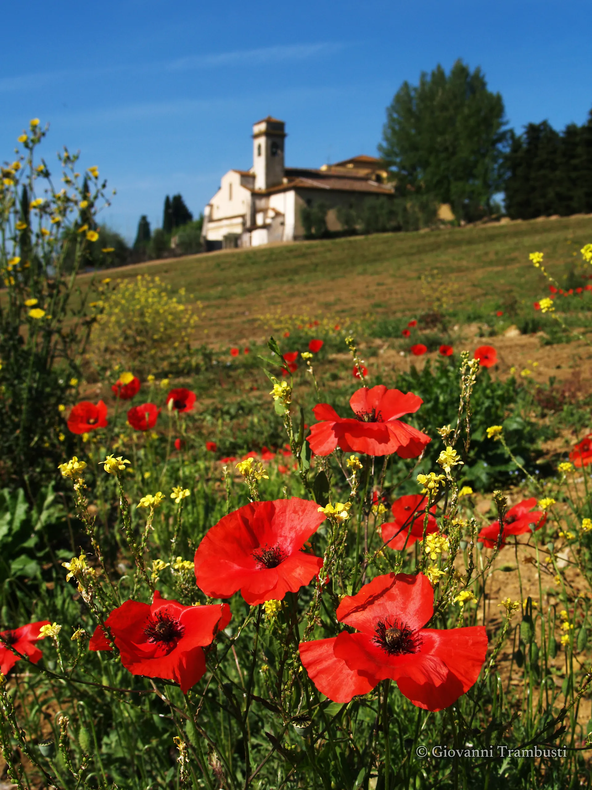 Churches 013, Tuscany — fotografia di Giovanni Trambusti