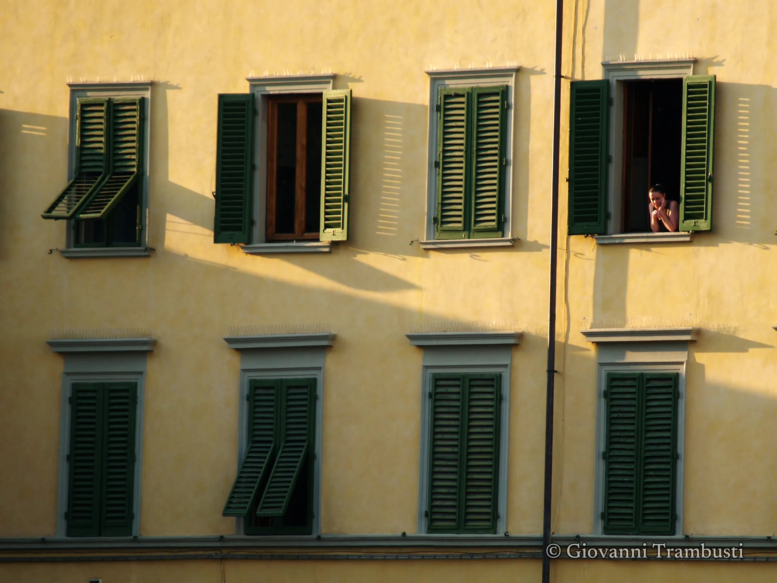 Windows 024, Florence — Fotografie von Giovanni Trambusti