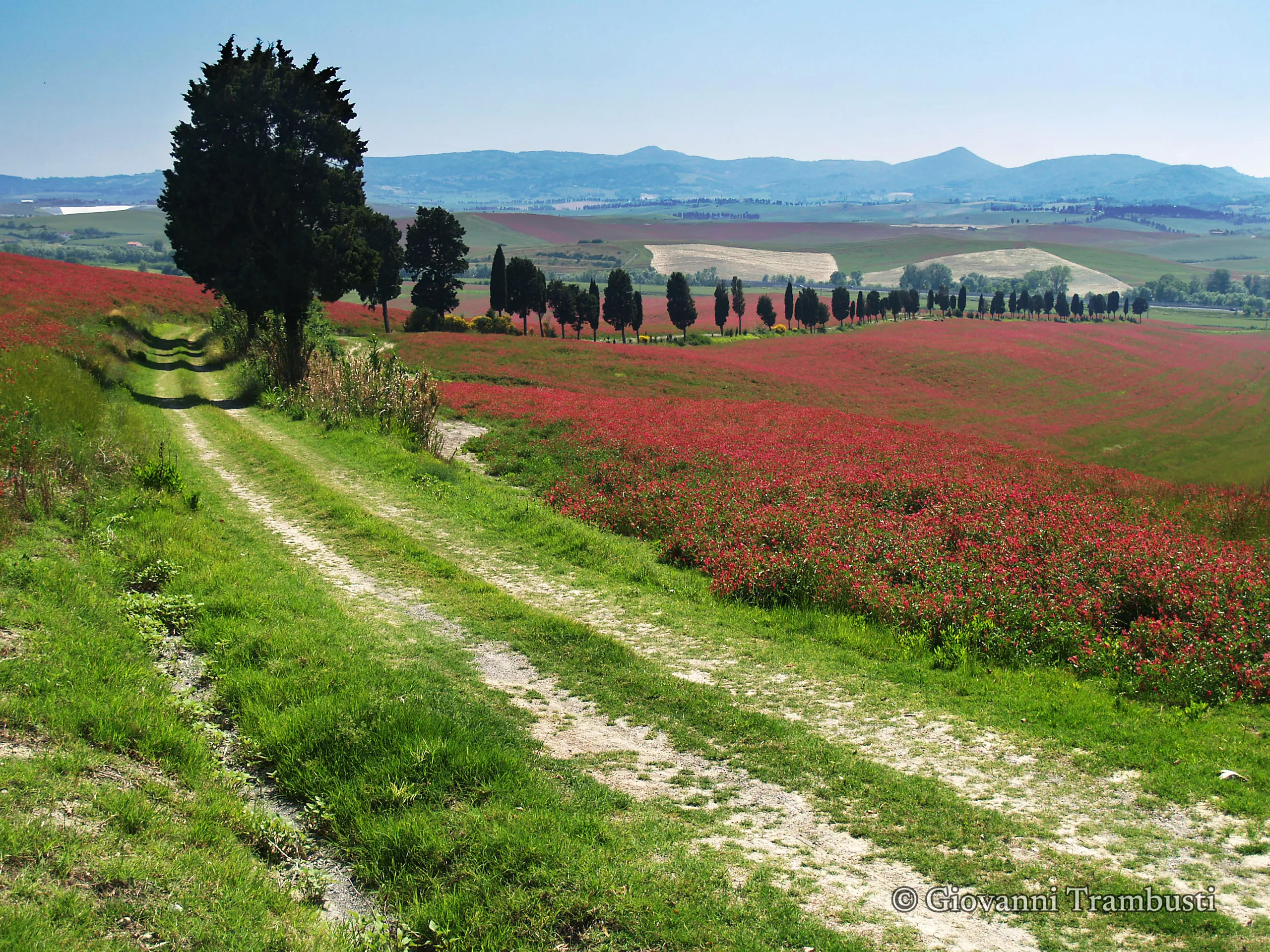 Orcia 072, Tuscany — fotografia di Giovanni Trambusti