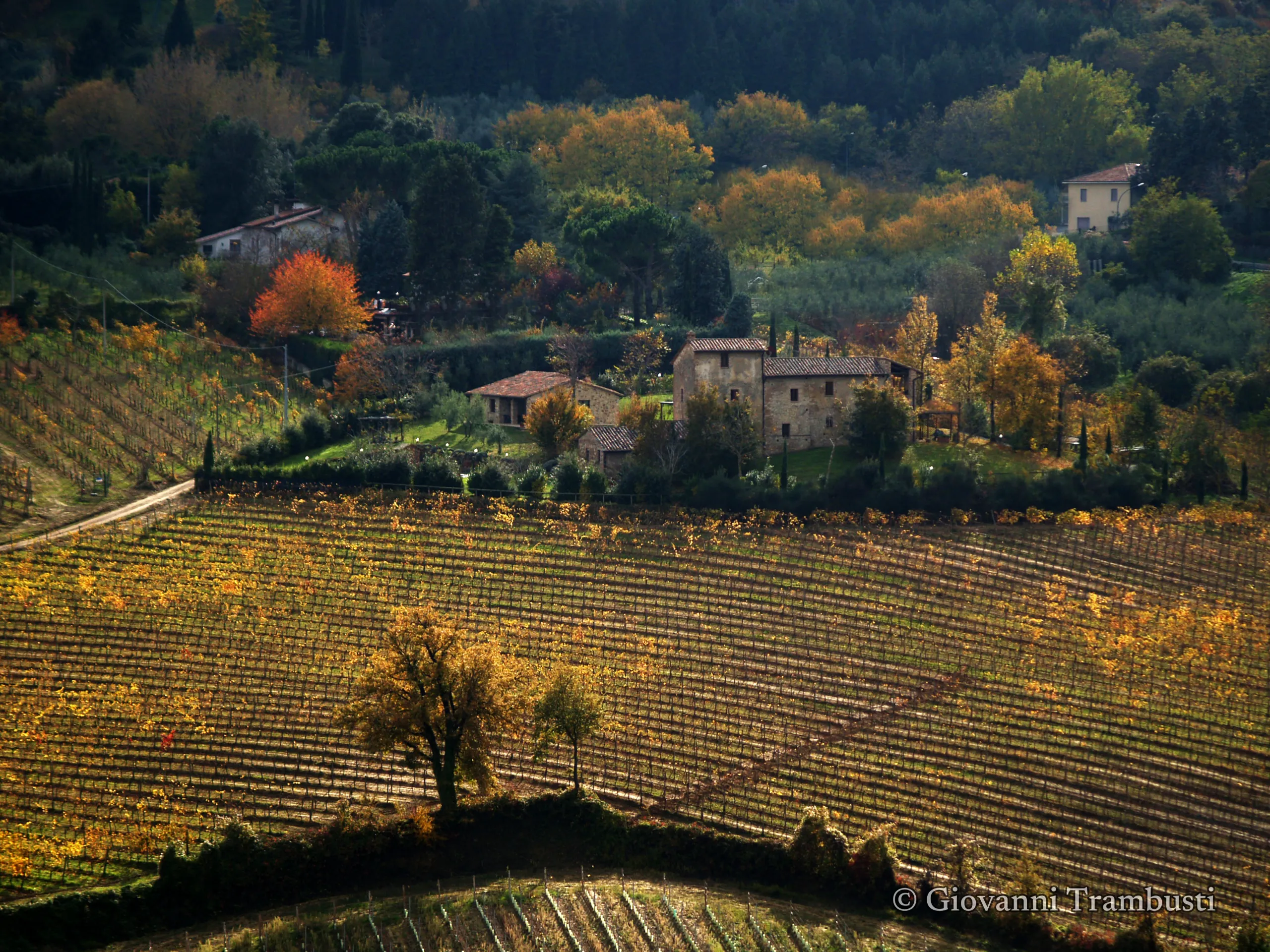 Orcia 075, Tuscany — fotografia di Giovanni Trambusti