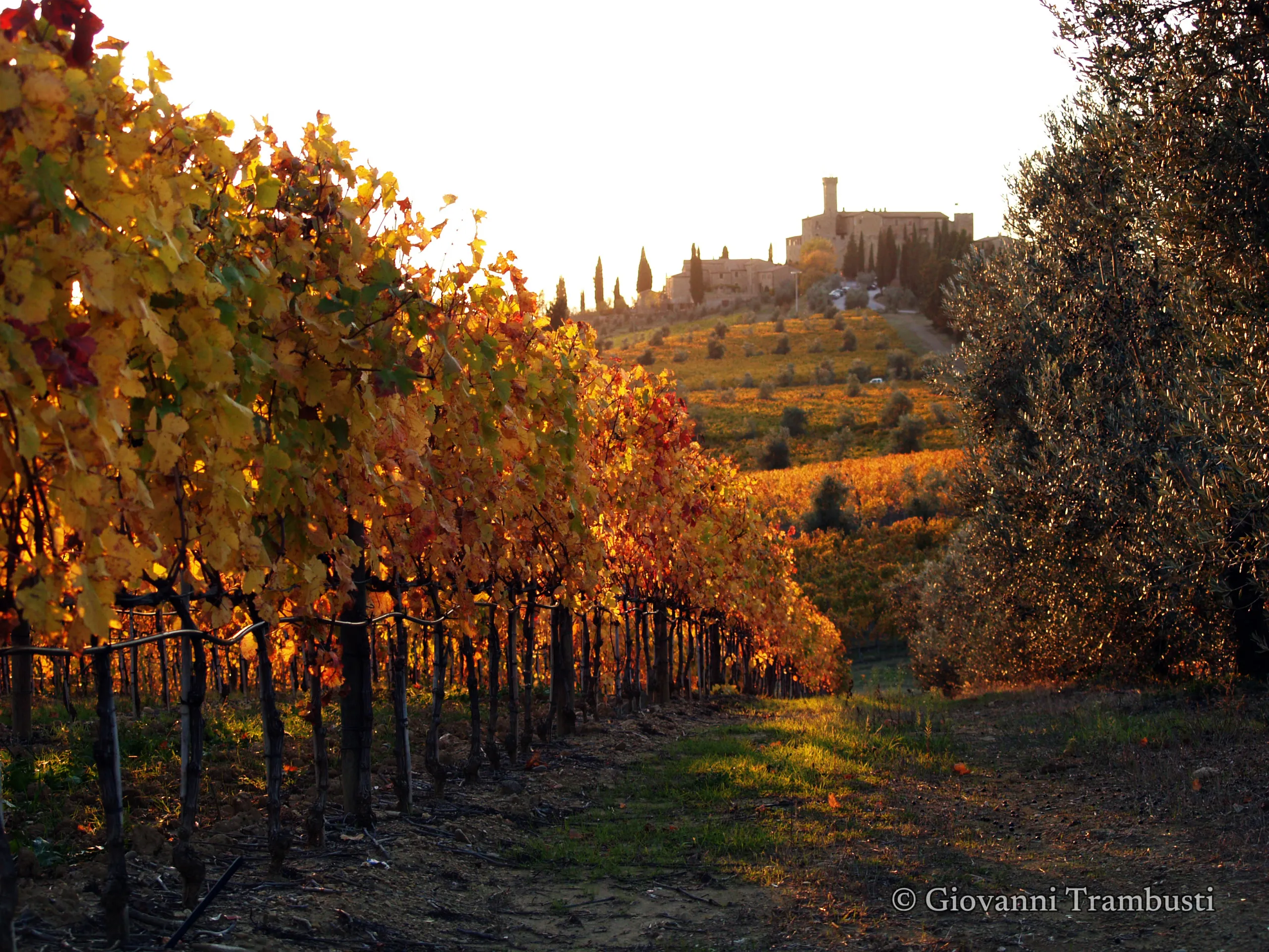 Orcia 030, Tuscany — fotografía de Giovanni Trambusti