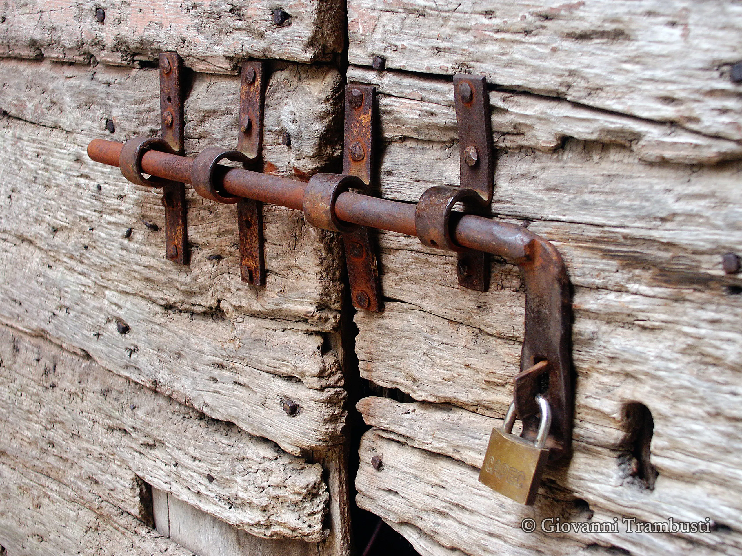 Handles 020, Tuscany — Fotografie von Giovanni Trambusti