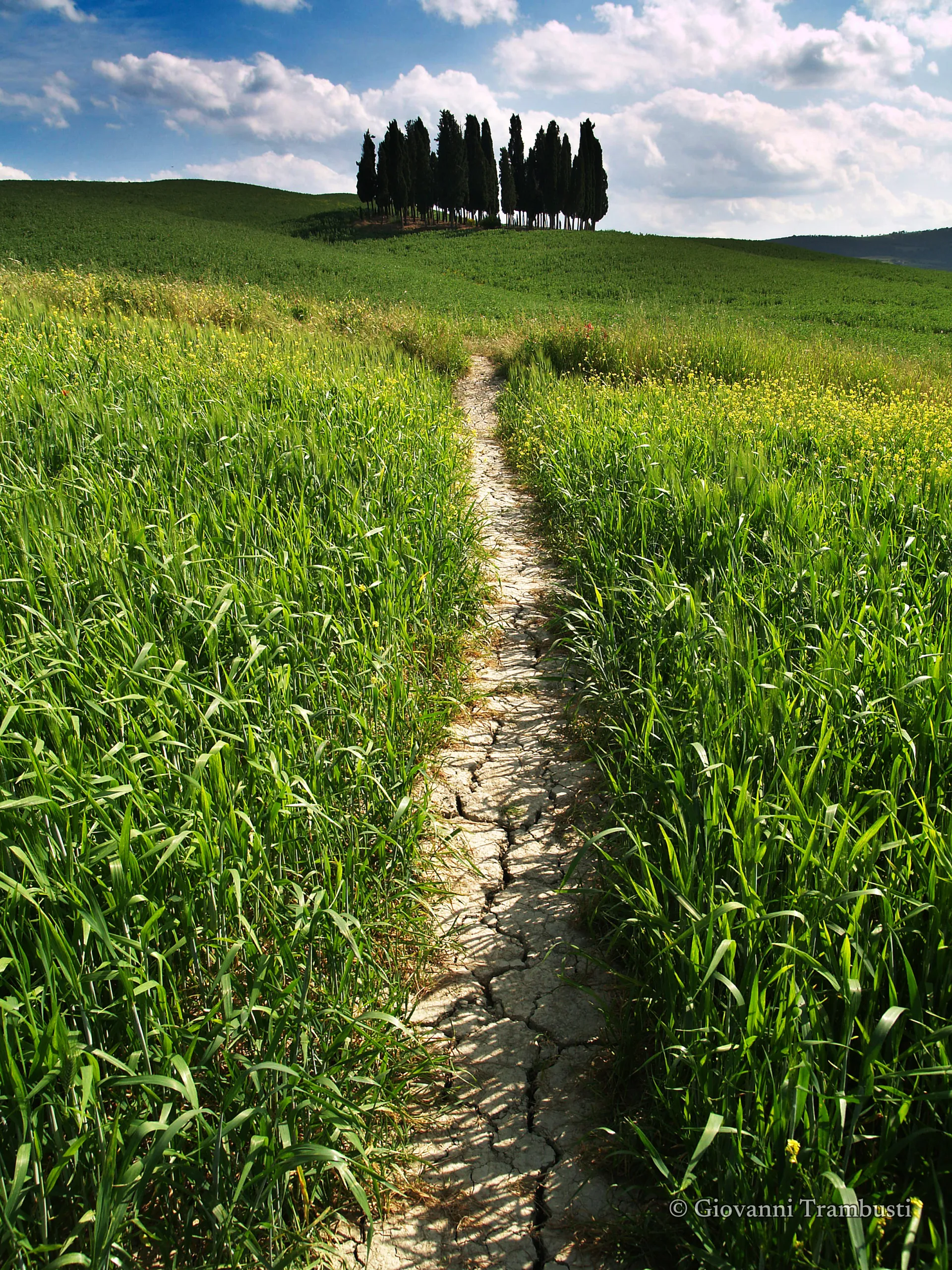 Orcia 003, Tuscany — fotografia di Giovanni Trambusti