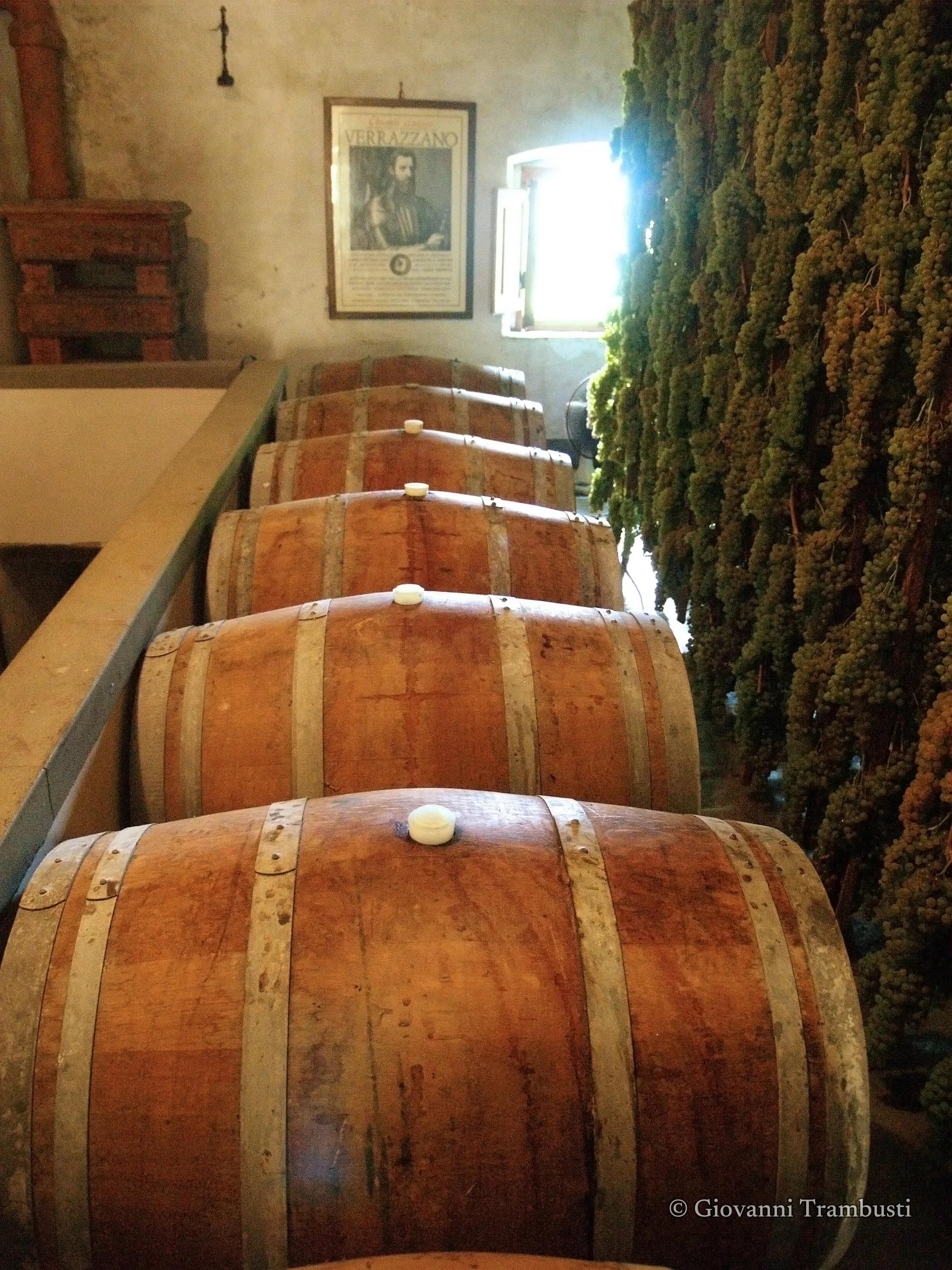 Wine 009, Tuscany — fotografía de Giovanni Trambusti