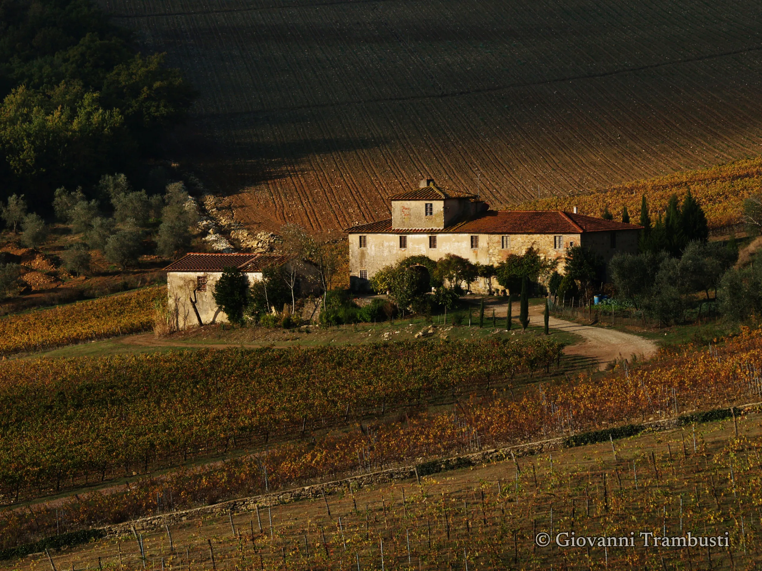 Chianti 033, Tuscany — fotografía de Giovanni Trambusti