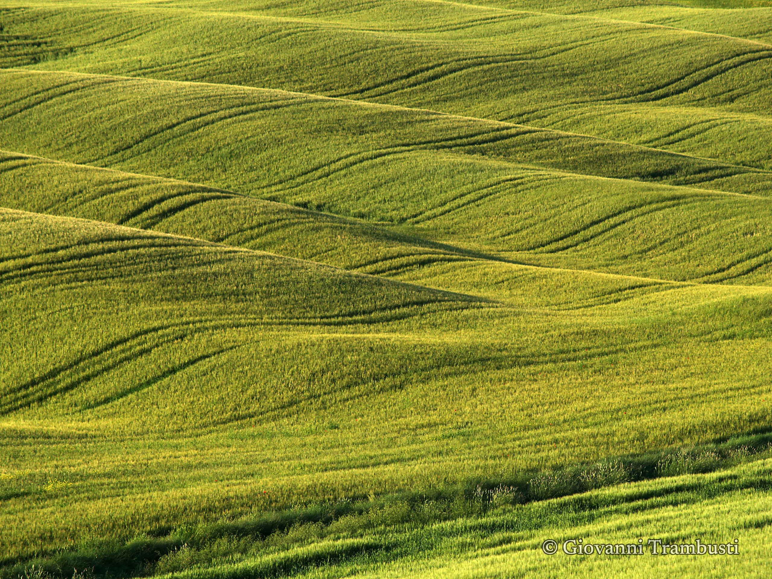 Orcia 083, Tuscany — fotografia di Giovanni Trambusti