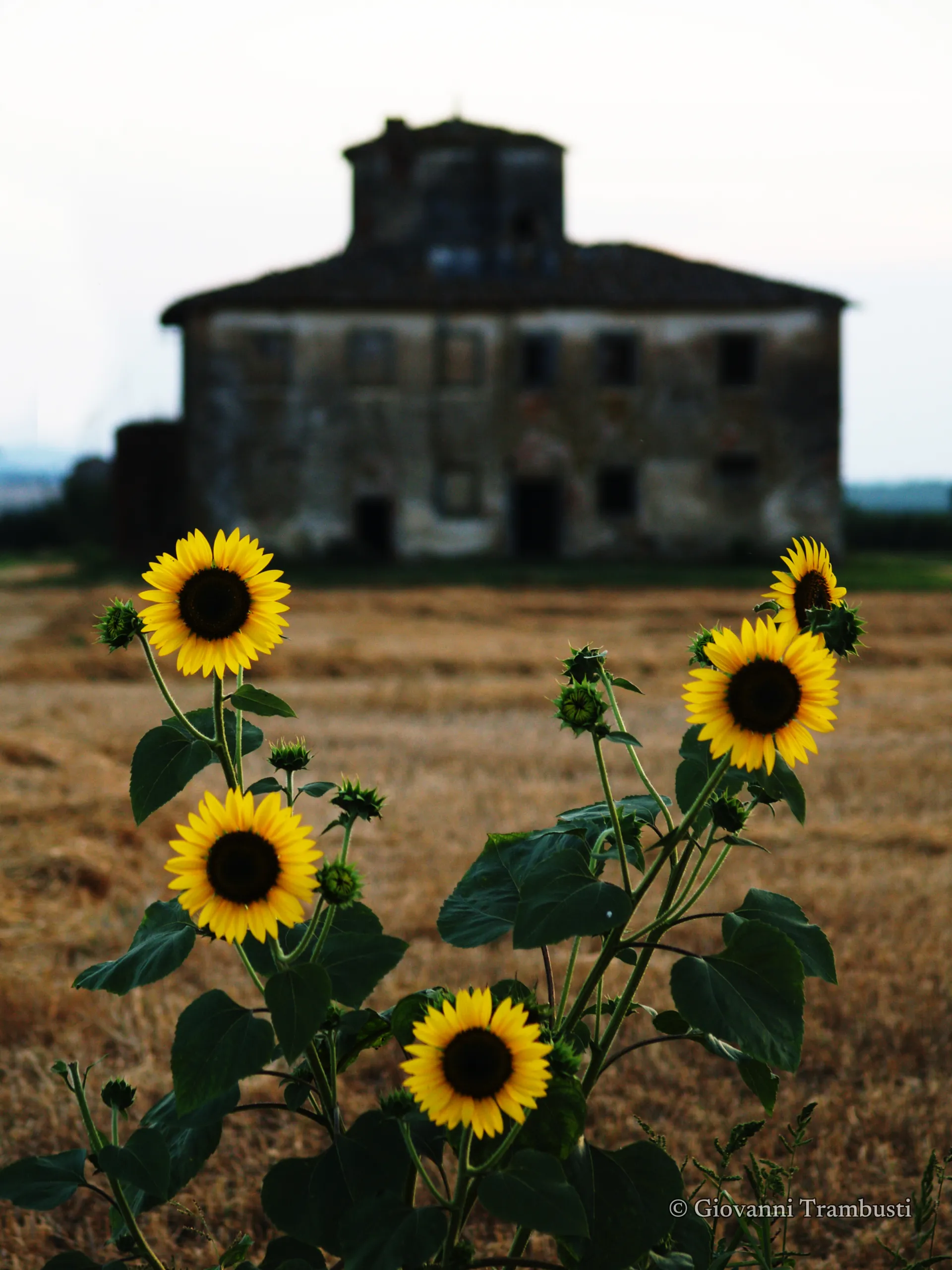 Cortona 027, Tuscany — fotografia di Giovanni Trambusti