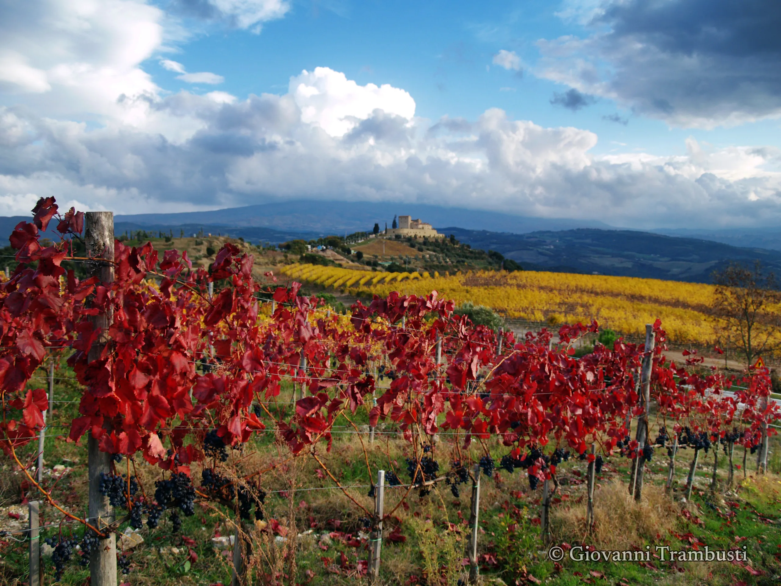 Orcia 034, Tuscany — Fotografie von Giovanni Trambusti