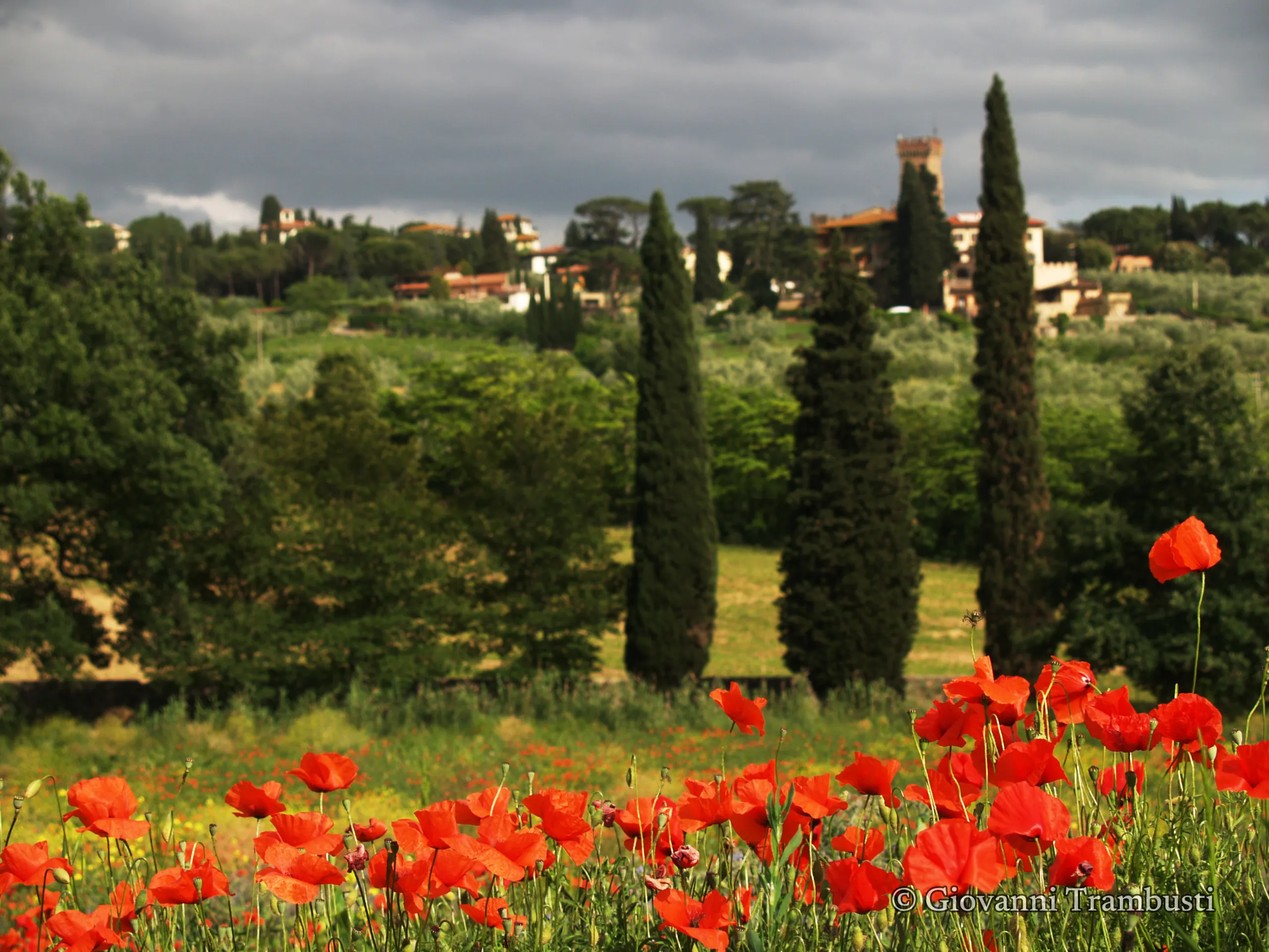 Hills 080, Tuscany — fotografía de Giovanni Trambusti