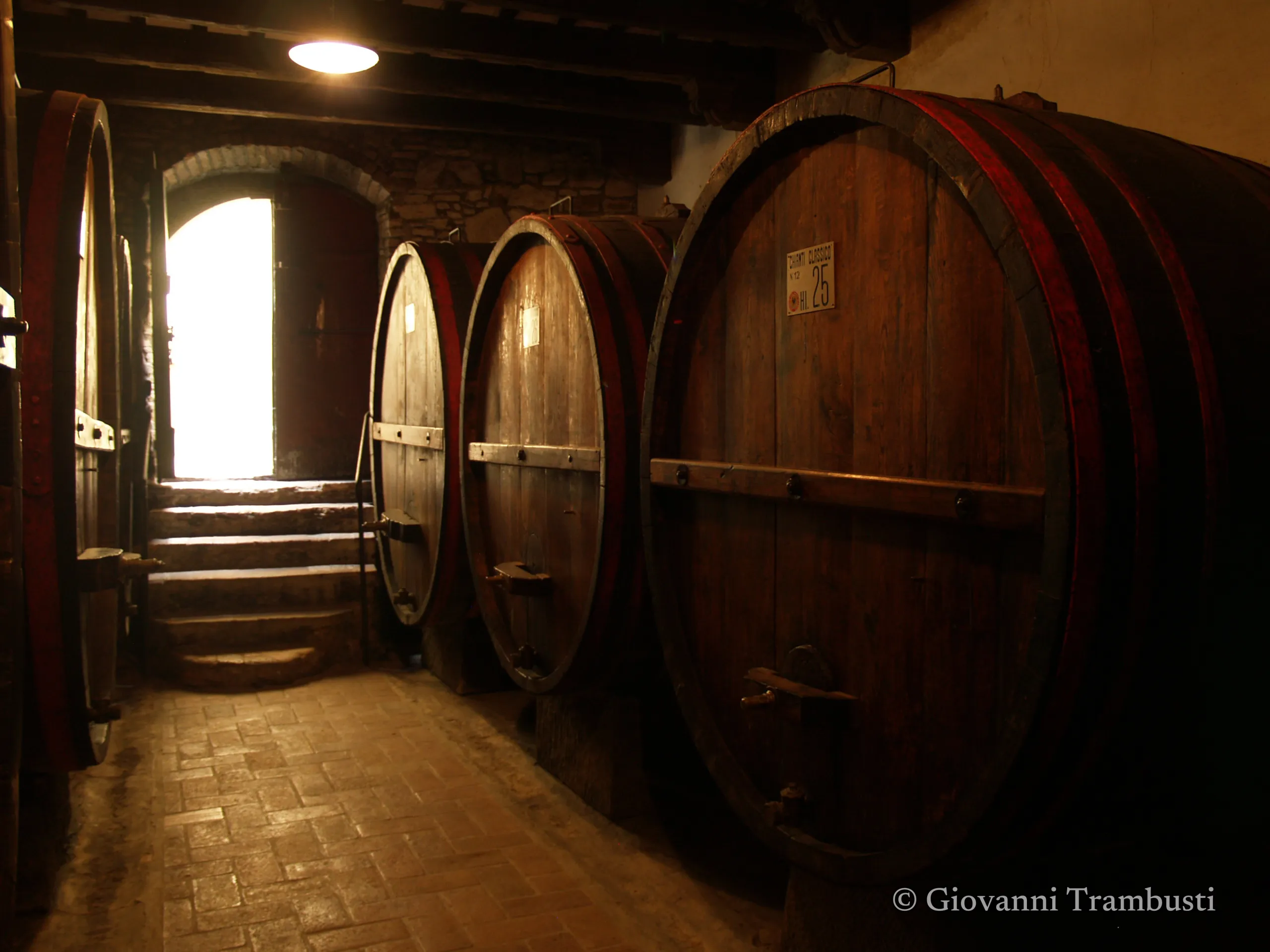 Wine 001, Tuscany — fotografía de Giovanni Trambusti