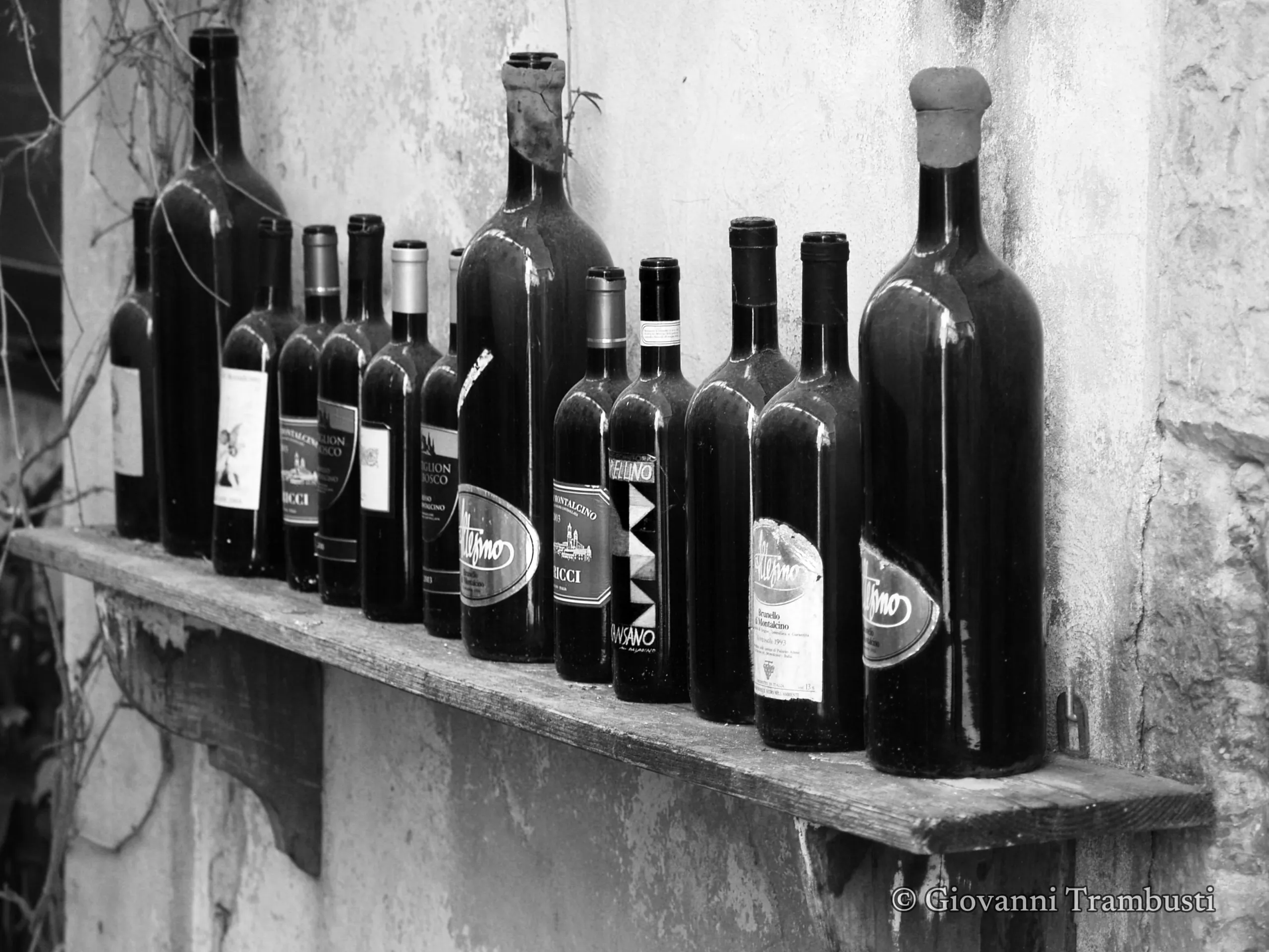 Wine 020, Tuscany — fotografia di Giovanni Trambusti